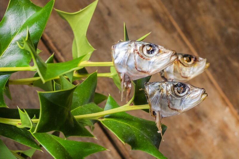 節分にいわしを食べる・かざる