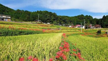 「お彼岸って何するの？」今さら聞けない基本と供養の話