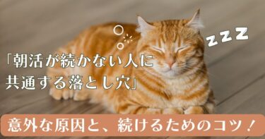 朝活５