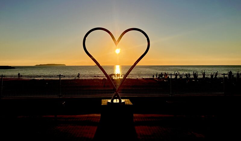 Cocomiと男子バレー天才リベロ「小川智大」1