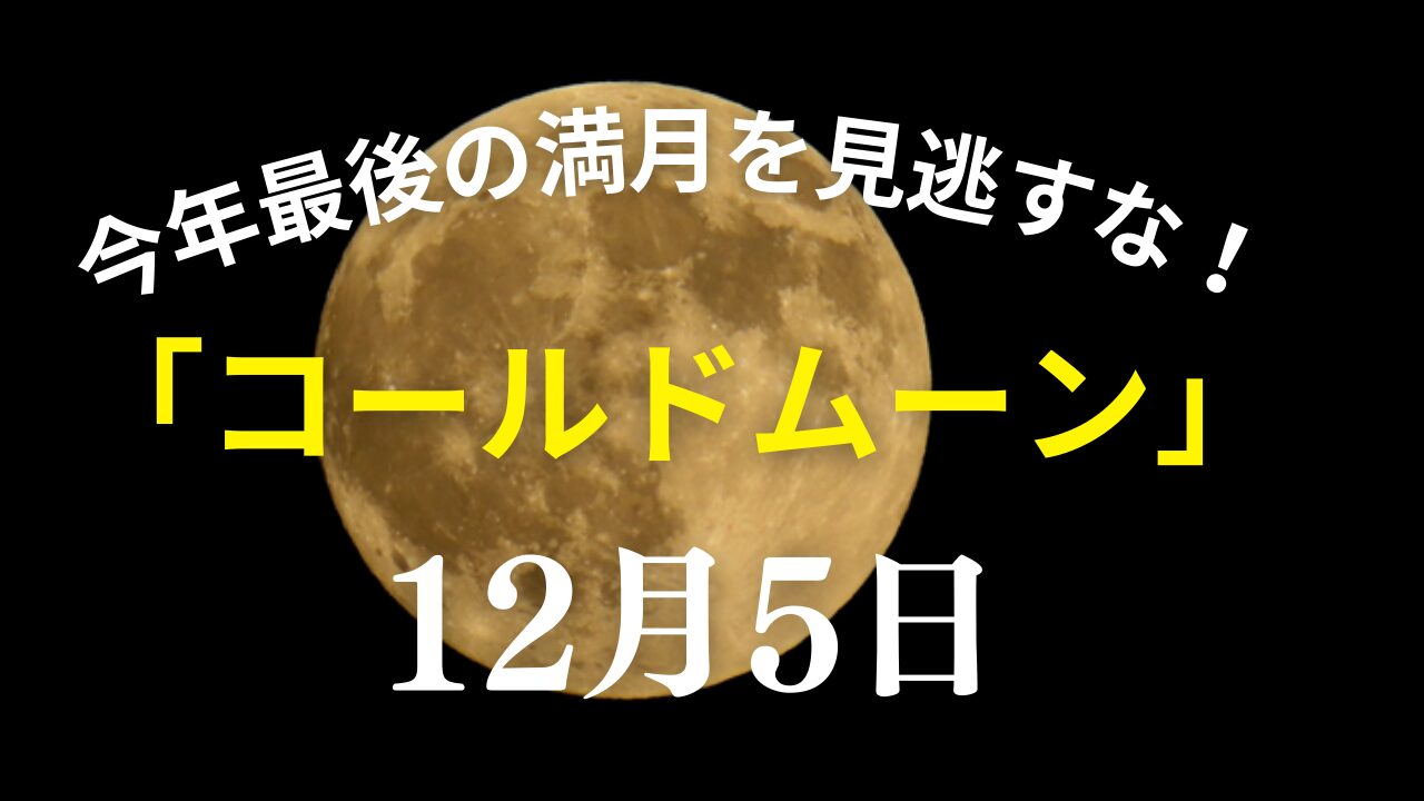 満月コールドムーン5