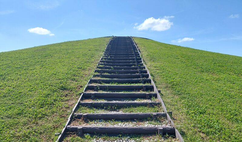 学費が「昼間の半分」の大学４