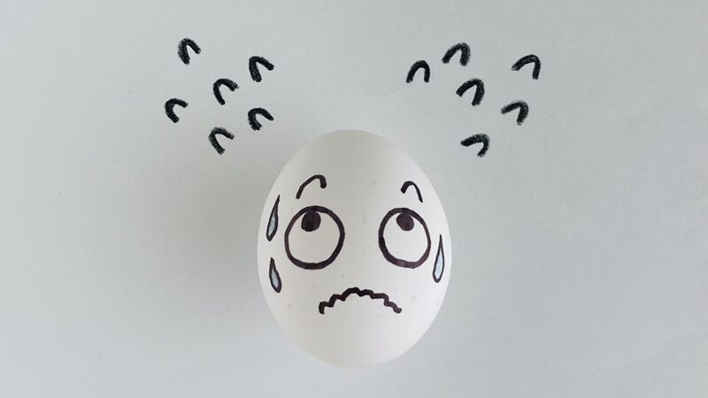 主夫だって、戦っている