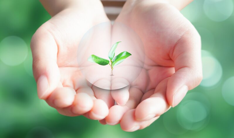 機械オンチの50代の私でもできた!ブログの「アフィリエイトリンク」を劇的に使いやすくする3つの魔法7