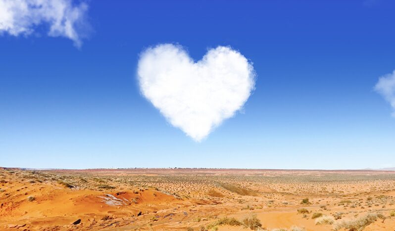 機械オンチの50代の私でもできた!ブログの「アフィリエイトリンク」を劇的に使いやすくする3つの魔法8