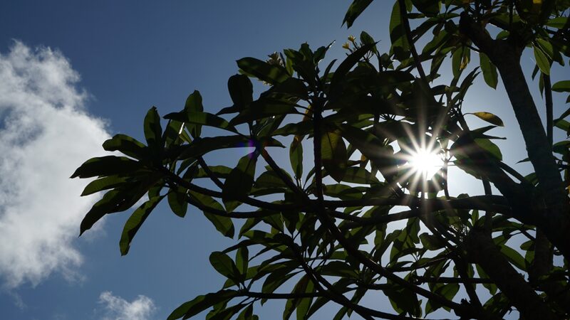 5年で1度の入金実績。アドセンスの「1円」を追う苦労を知った僕が、今アフィリエイトに賭ける理由６