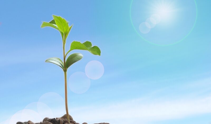 公開ボタンは「スタート」の合図。58人の読者を1,000人に変える、50代主夫の「種まき」戦略６