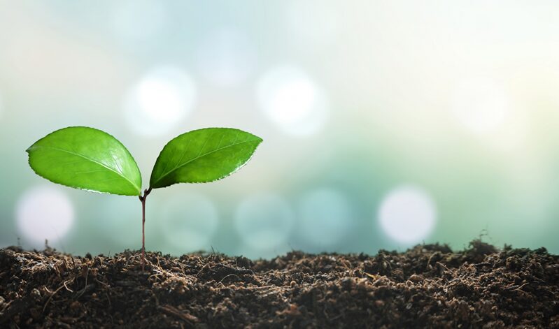 売ろうとするほど売れない？50代主夫が気づいた「アフィリエイトの本質」と感謝の循環５