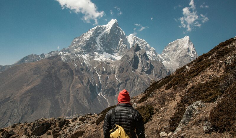 亡き妻に誓う、主夫の「攻めの守り」